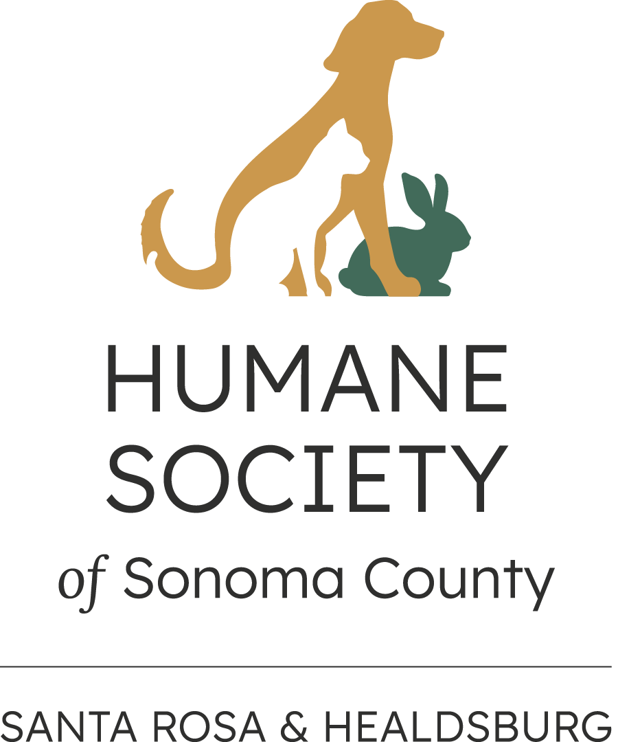 Rescued dog and cat together representing the animal rescue and adoption mission of California Animal Rescue Inc in Santa Rosa California
